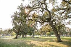 ElkGrovePark_20-0002