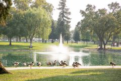 ElkGrovePark_20-0003