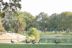 ElkGrovePark_20-0007