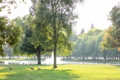 ElkGrovePark_20-0008