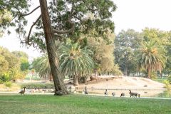 ElkGrovePark_20-0009