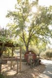 FlowerFarmInn-0002