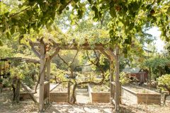 FlowerFarmInn-0004