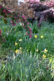 JensenBotanicalGradens-0007