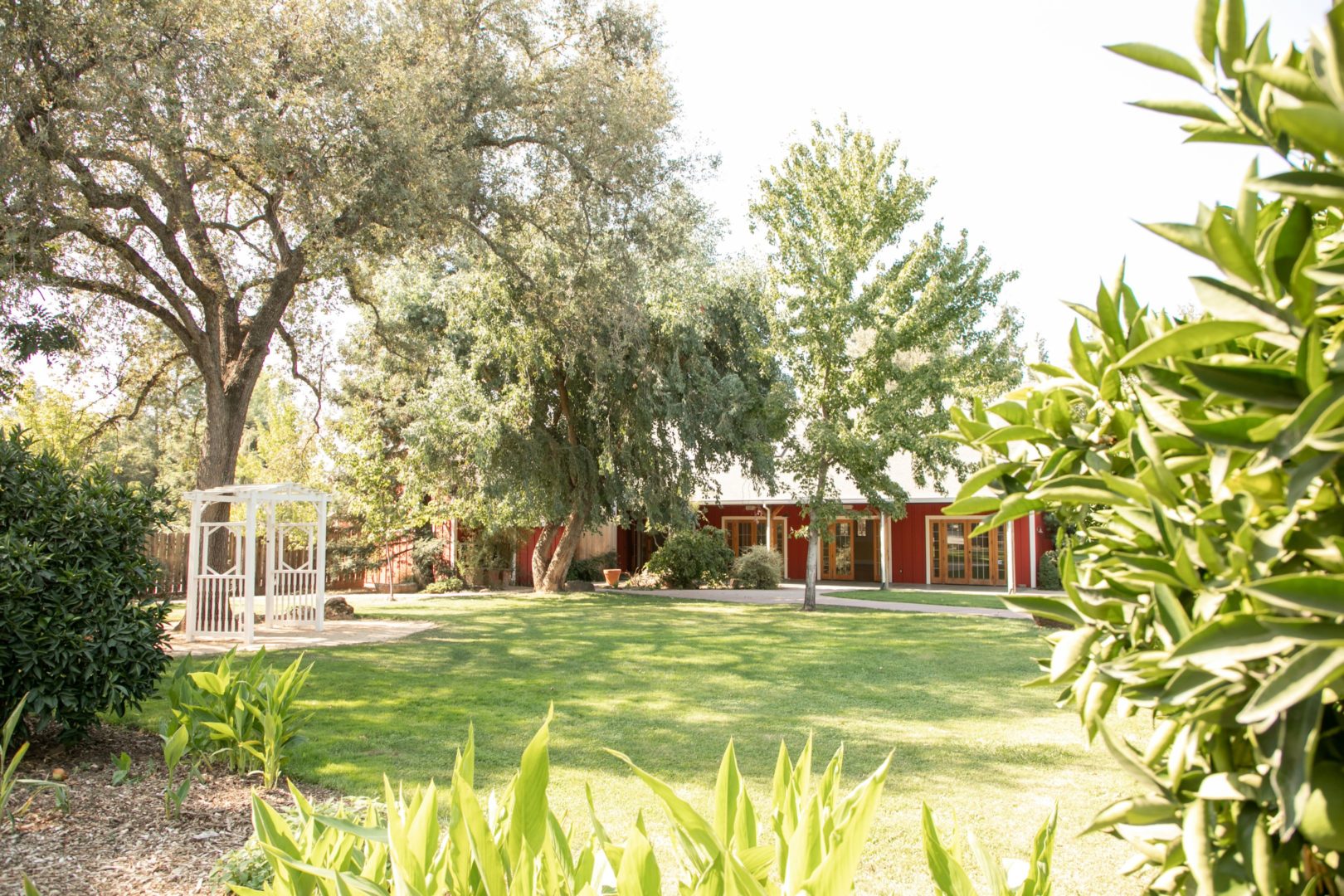 Flower Farm Inn Fall MiniSessions